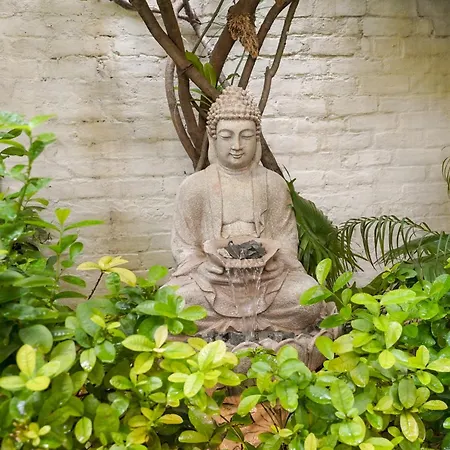 Stay Banaras - A Boutique Hotel In Sigra-3